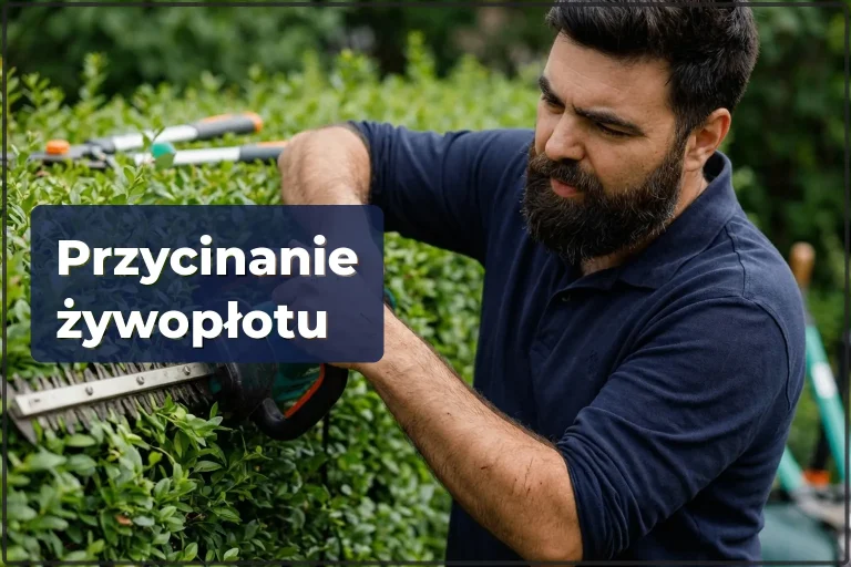 Przycinanie żywopłotu i drzew w Warszawie — porządek w ogrodzie