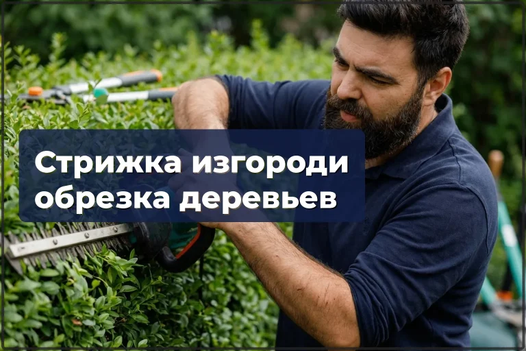 Стрижка живой изгороди и обрезка деревьев в Варшаве