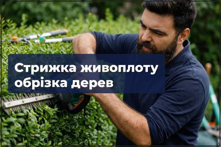 Стрижка живоплоту та обрізка дерев у Варшаві